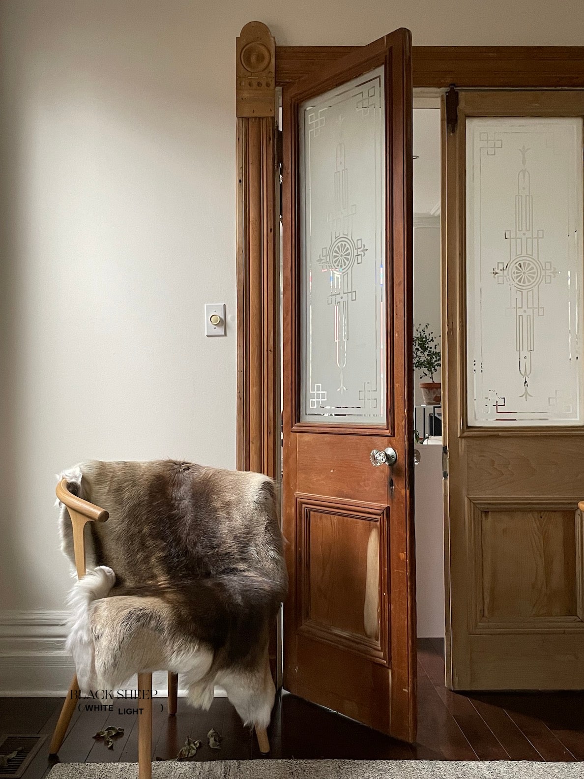 Dark Sami Reindeer Hide - Black Sheep (White Light)