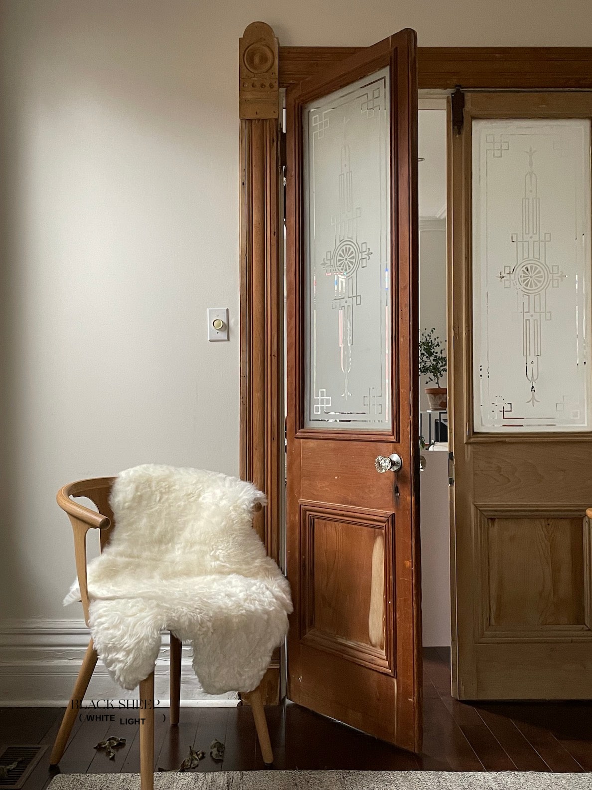 Shorn White Icelandic Sheepskin - Black Sheep (White Light)