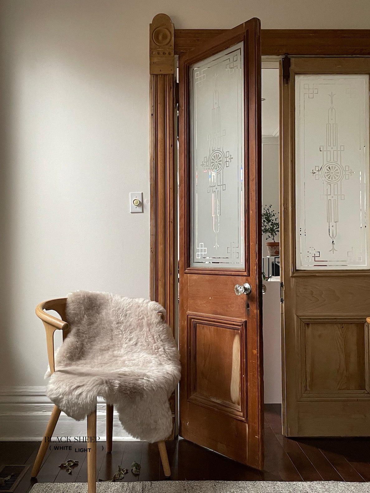 Shorn Nude Icelandic Sheepskin - Black Sheep (White Light)