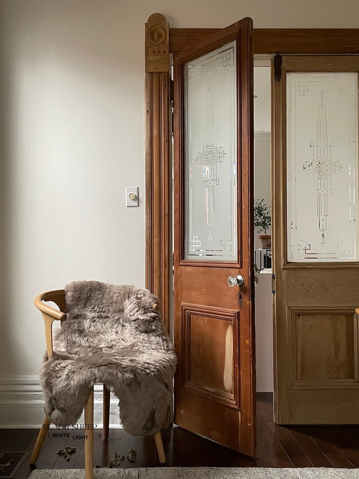 Shorn Taupe Icelandic Sheepskin - Black Sheep (White Light)