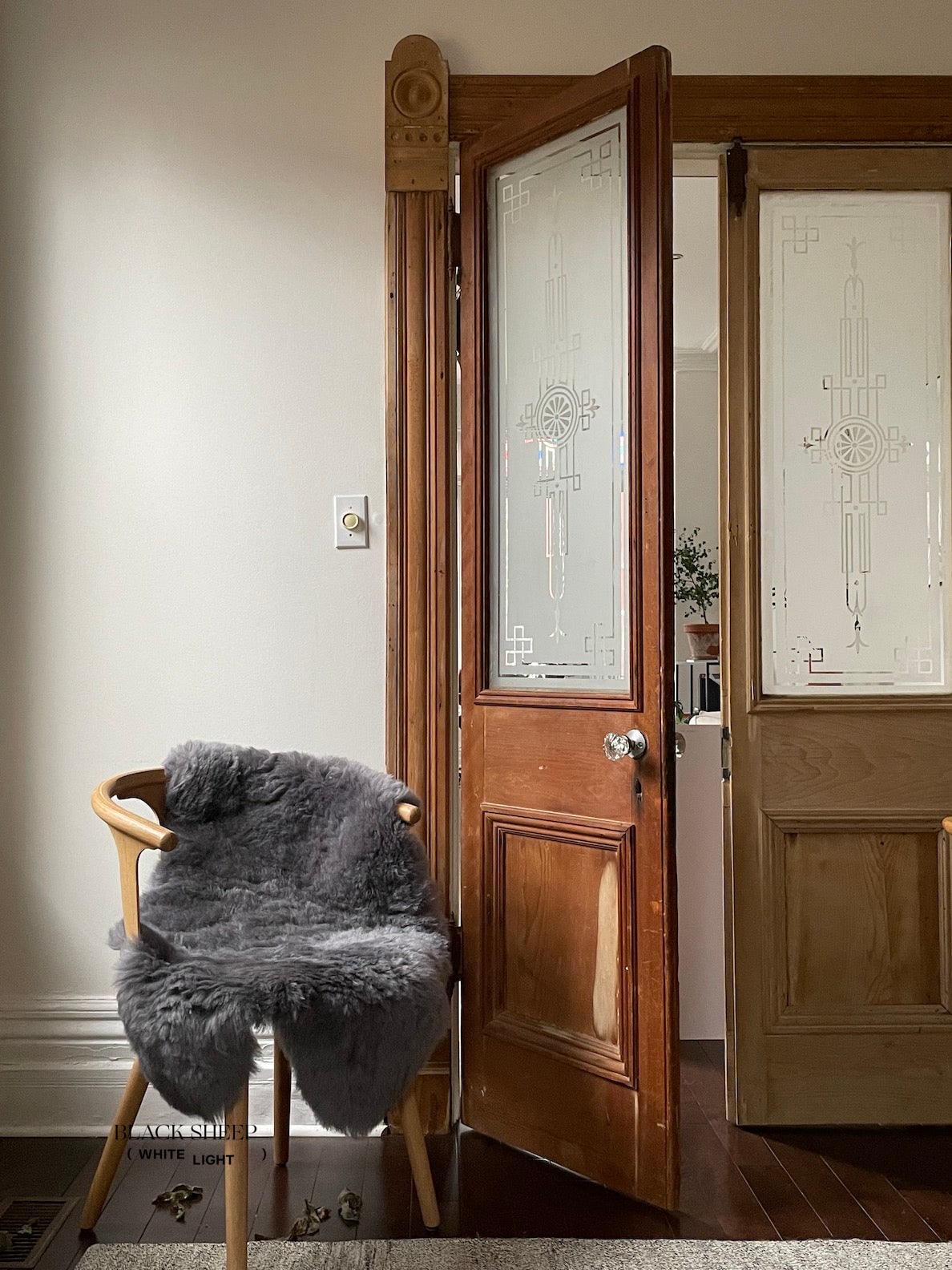 Shorn Silver Icelandic Sheepskin - Black Sheep (White Light)