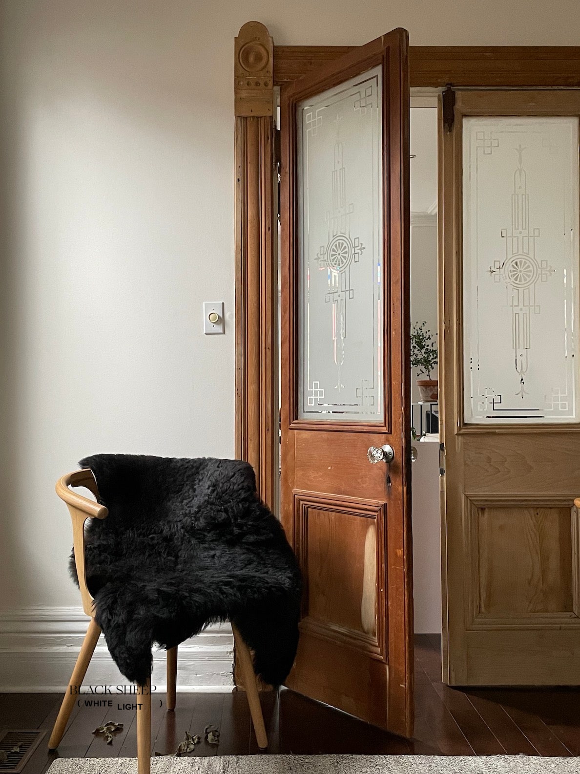 Shorn Black Icelandic Sheepskin - Black Sheep (White Light)