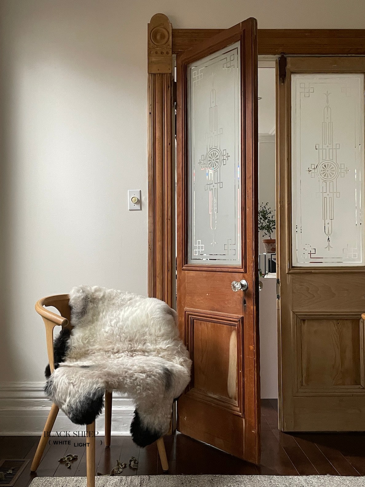 Shorn Grey Icelandic Sheepskin - Black Sheep (White Light)