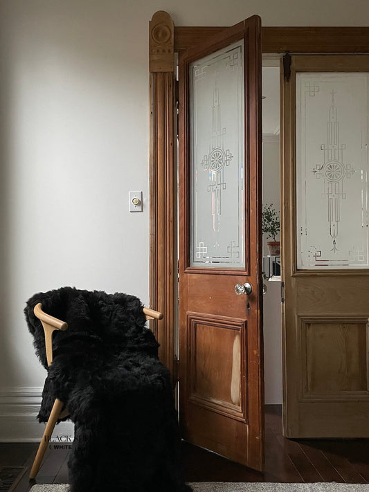 Shorn Black Double Icelandic Sheepskin - Black Sheep (White Light)