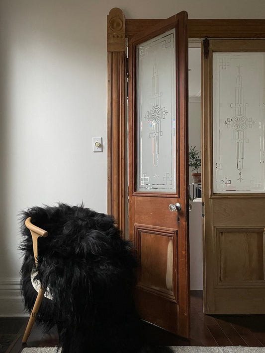 Black Double Icelandic Sheepskin - Black Sheep (White Light)