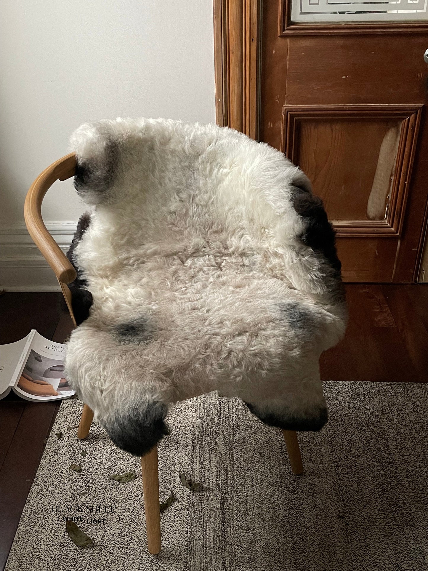 Shorn Grey Icelandic Sheepskin - Black Sheep (White Light)