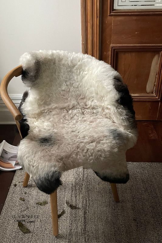 Shorn Grey Icelandic Sheepskin - Black Sheep (White Light)