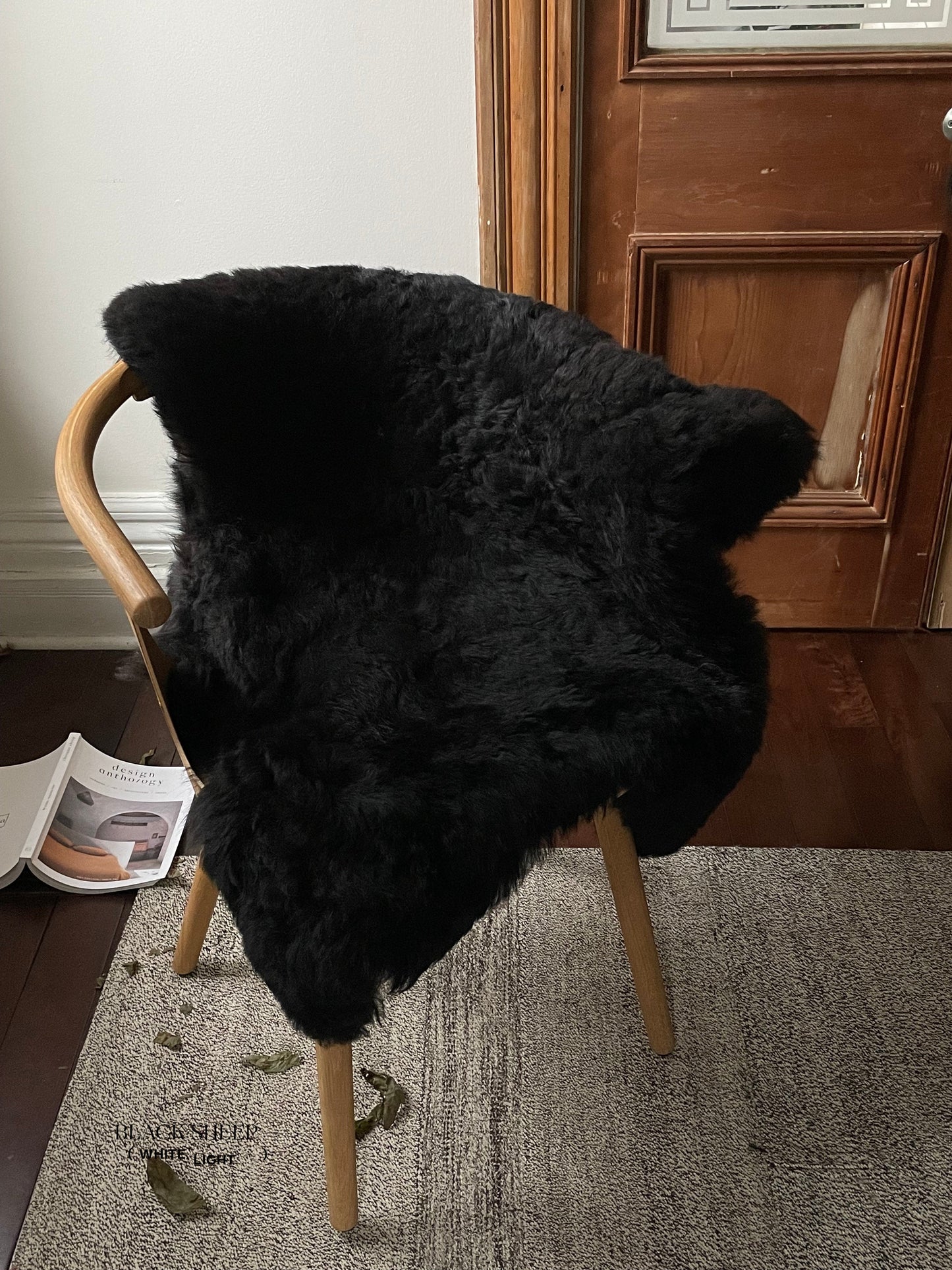 Shorn Black Icelandic Sheepskin - Black Sheep (White Light)