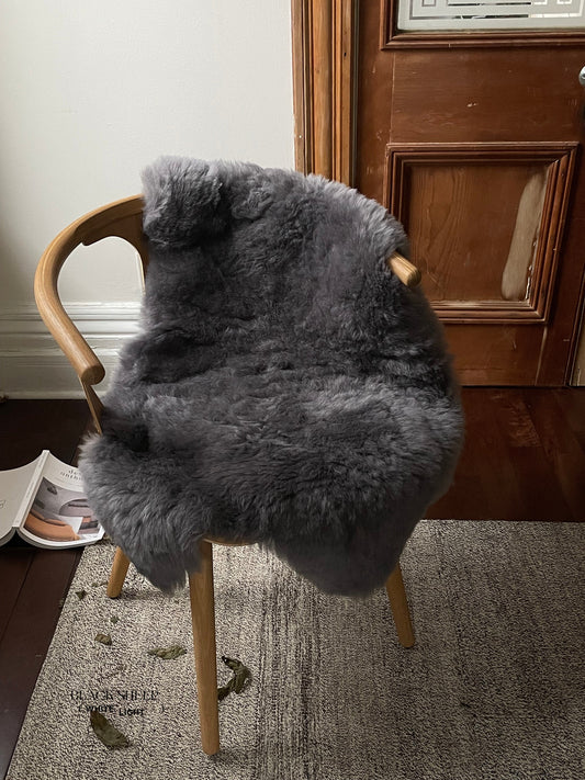Shorn Silver Icelandic Sheepskin - Black Sheep (White Light)