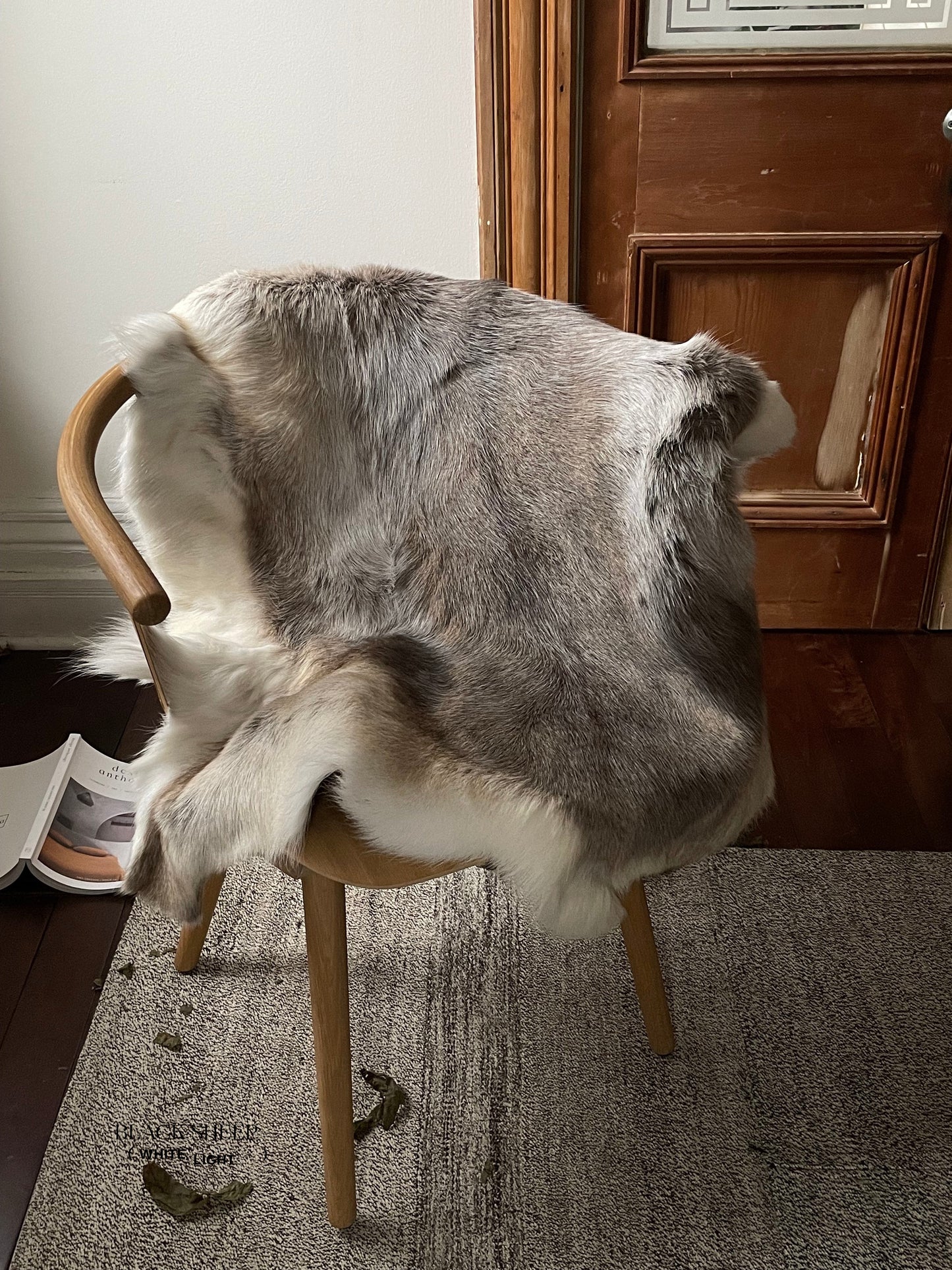Light Sami Reindeer Hide - Black Sheep (White Light)