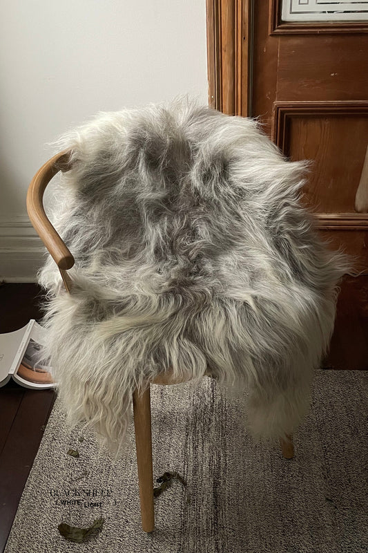 Natural Light Grey Icelandic Sheepskin - Black Sheep (White Light)