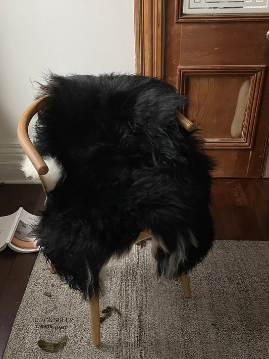 Spotted Icelandic Sheepskin | Maximal - Black Sheep (White Light)