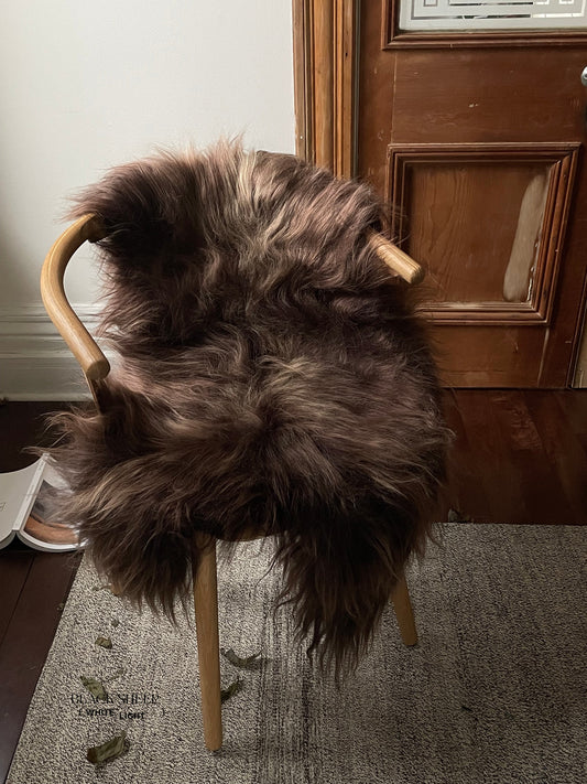 Dark Brown Icelandic Sheepskin - Black Sheep (White Light)