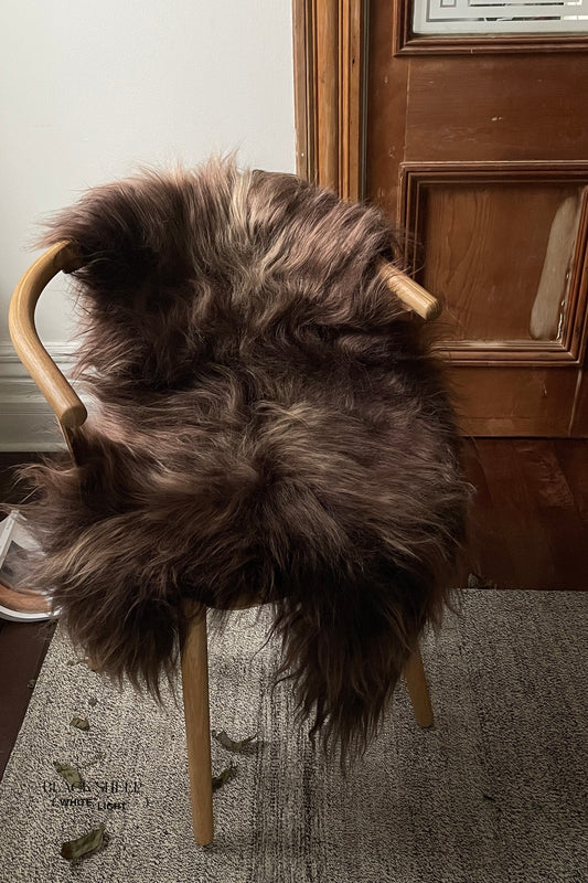 Dark Brown Icelandic Sheepskin - Black Sheep (White Light)