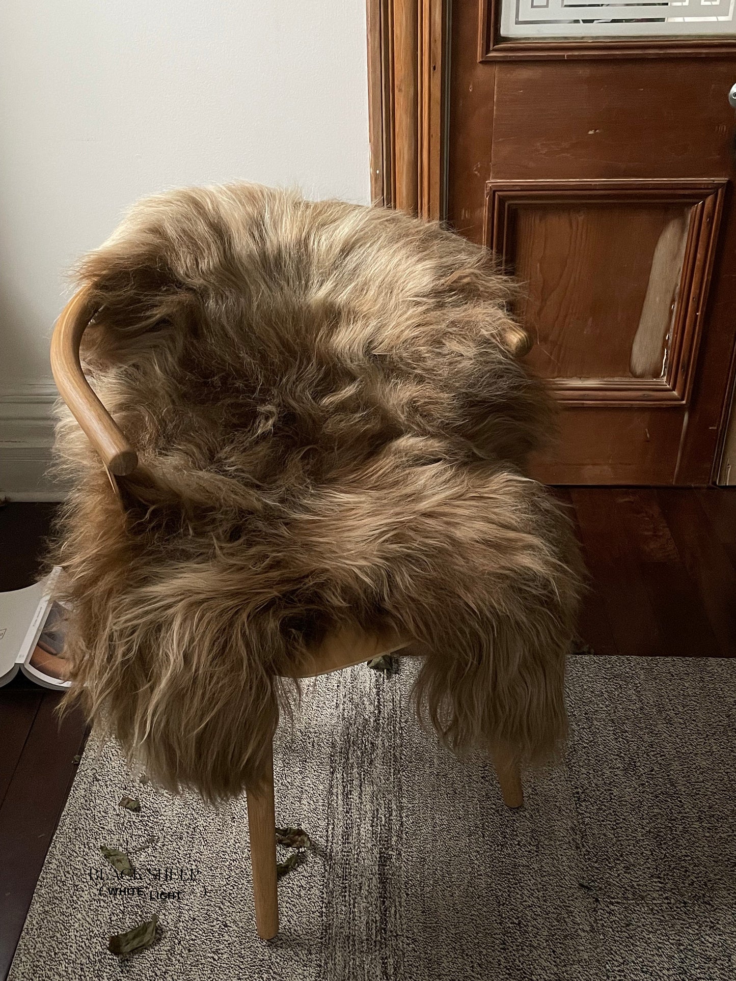 Light Brown Icelandic Sheepskin - Black Sheep (White Light)