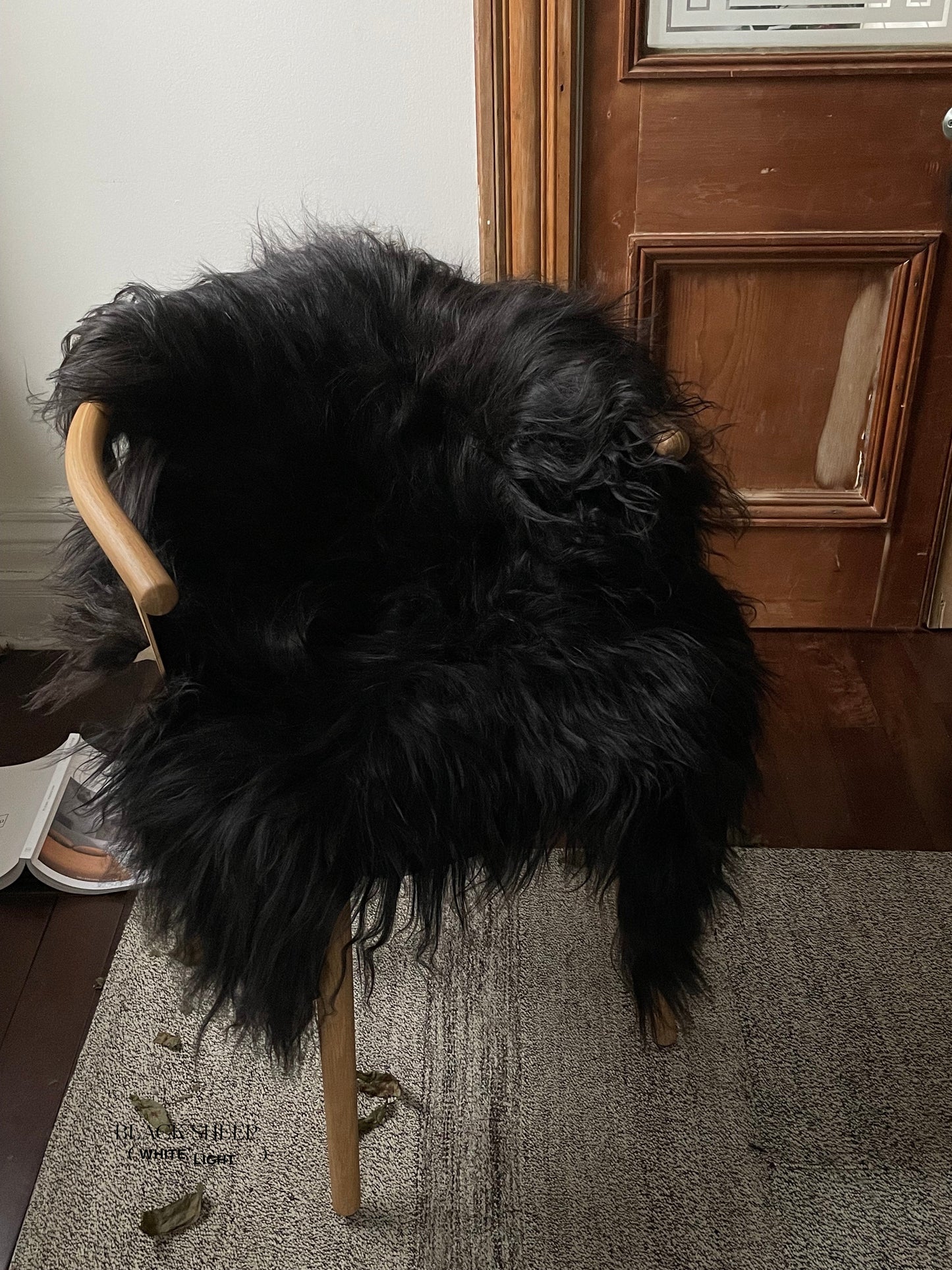 Black Icelandic Sheepskin - Black Sheep (White Light)