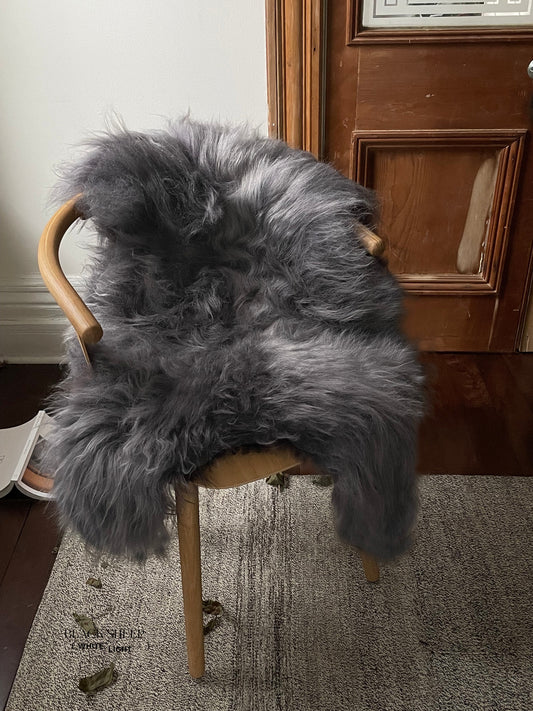 Silver Icelandic Sheepskin - Black Sheep (White Light)
