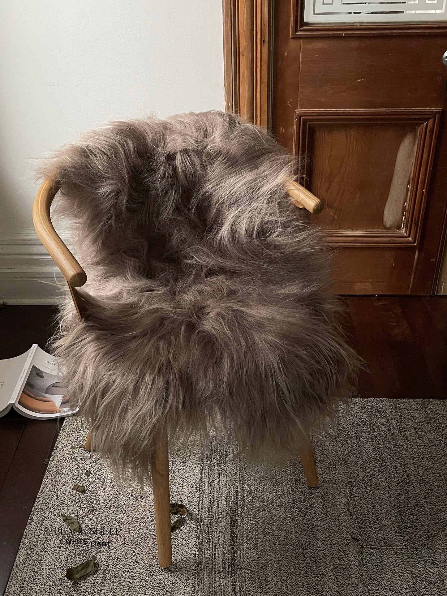 Taupe Icelandic Sheepskin - Black Sheep (White Light)