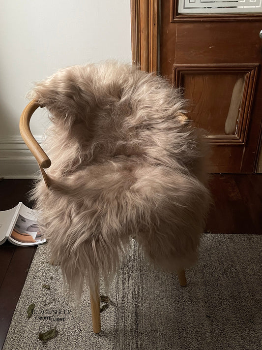 Camel Icelandic Sheepskin - Black Sheep (White Light)