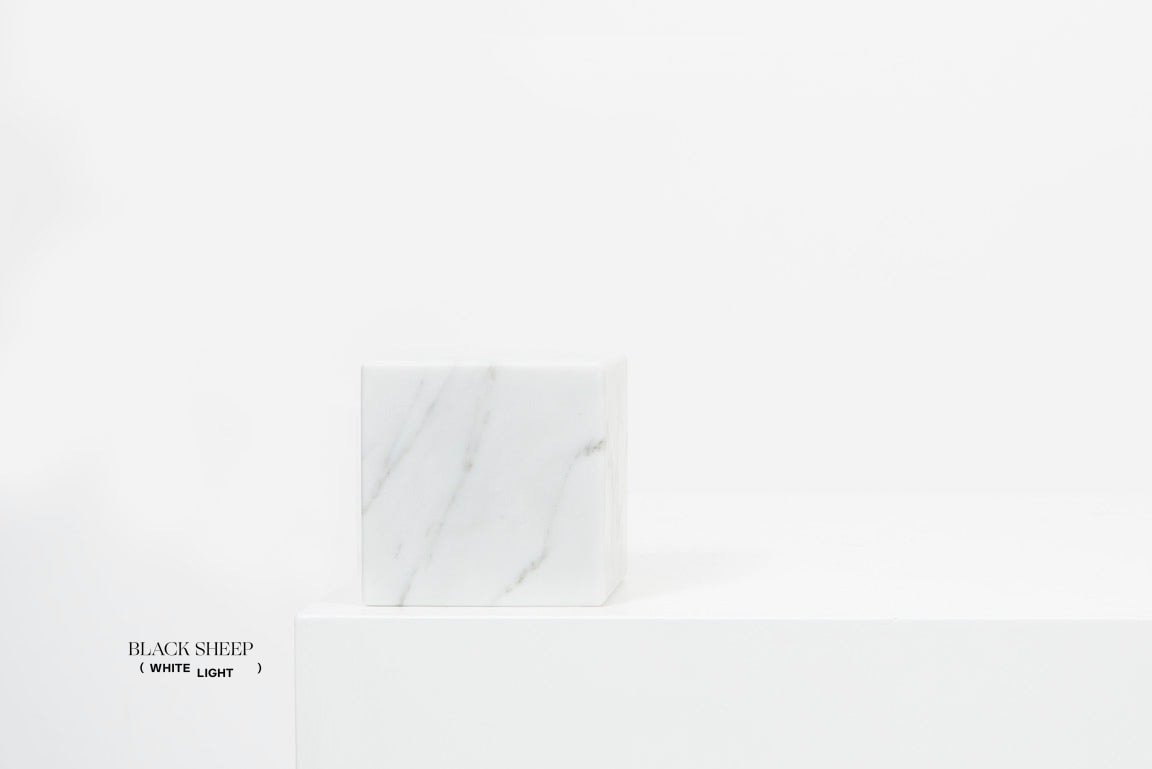 Bianco Carrara Marble Asymmetric Book Ends - Black Sheep (White Light)