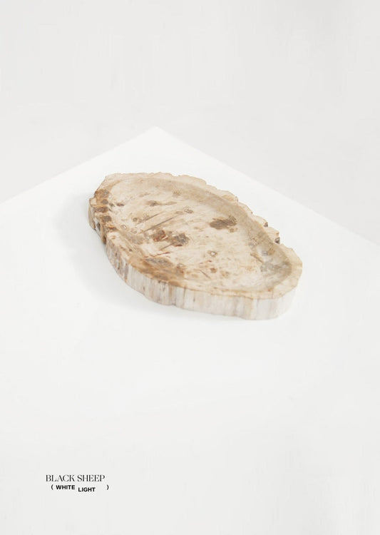Petrified Wood Light Round Vessel - Black Sheep (White Light)