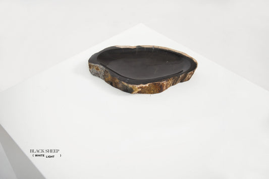 Petrified Wood Dark Round Vessel - Black Sheep (White Light)