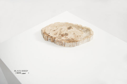 Petrified Wood Light Round Vessel - Black Sheep (White Light)