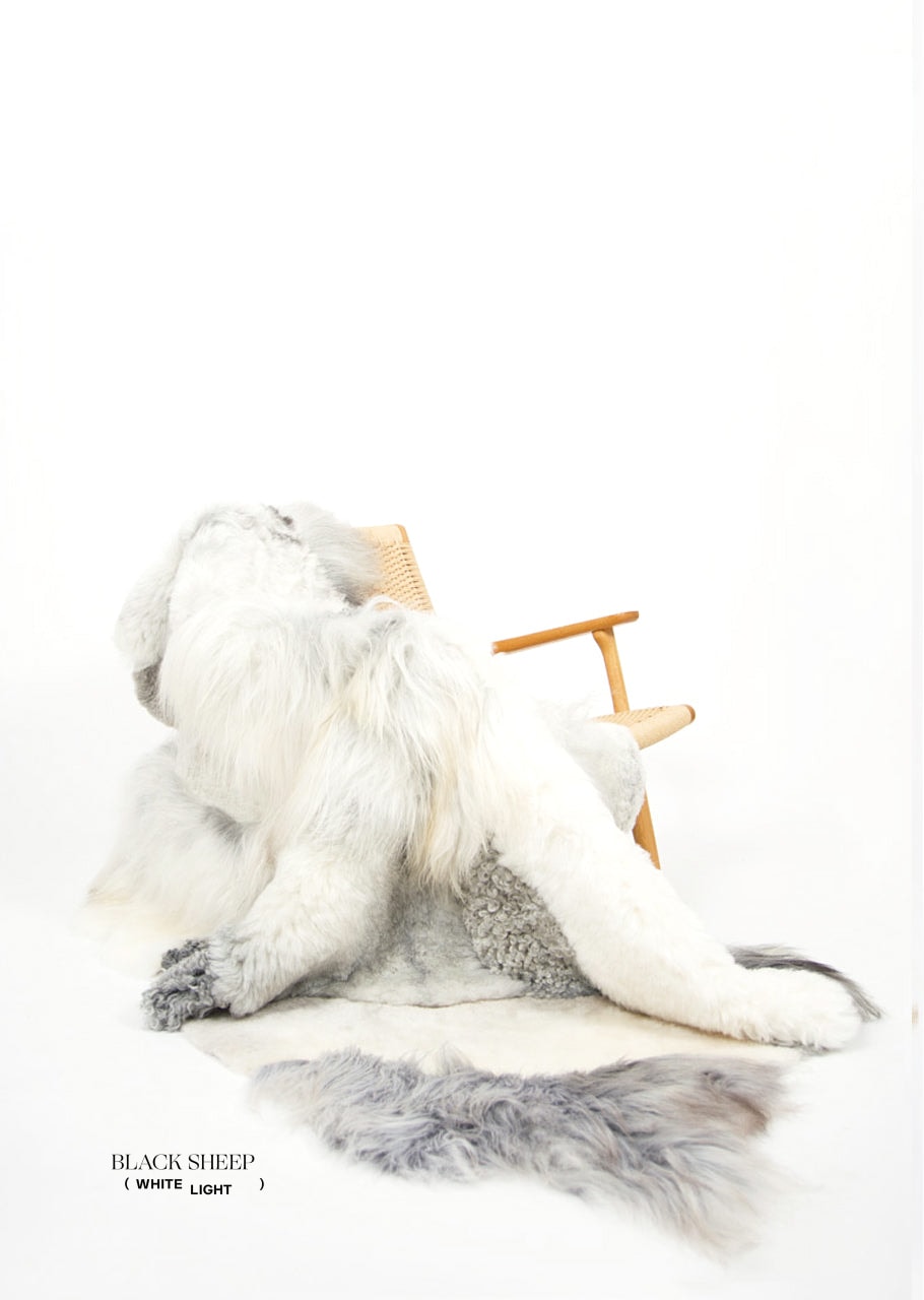 Melange Sheepskin Rug - Black Sheep (White Light)