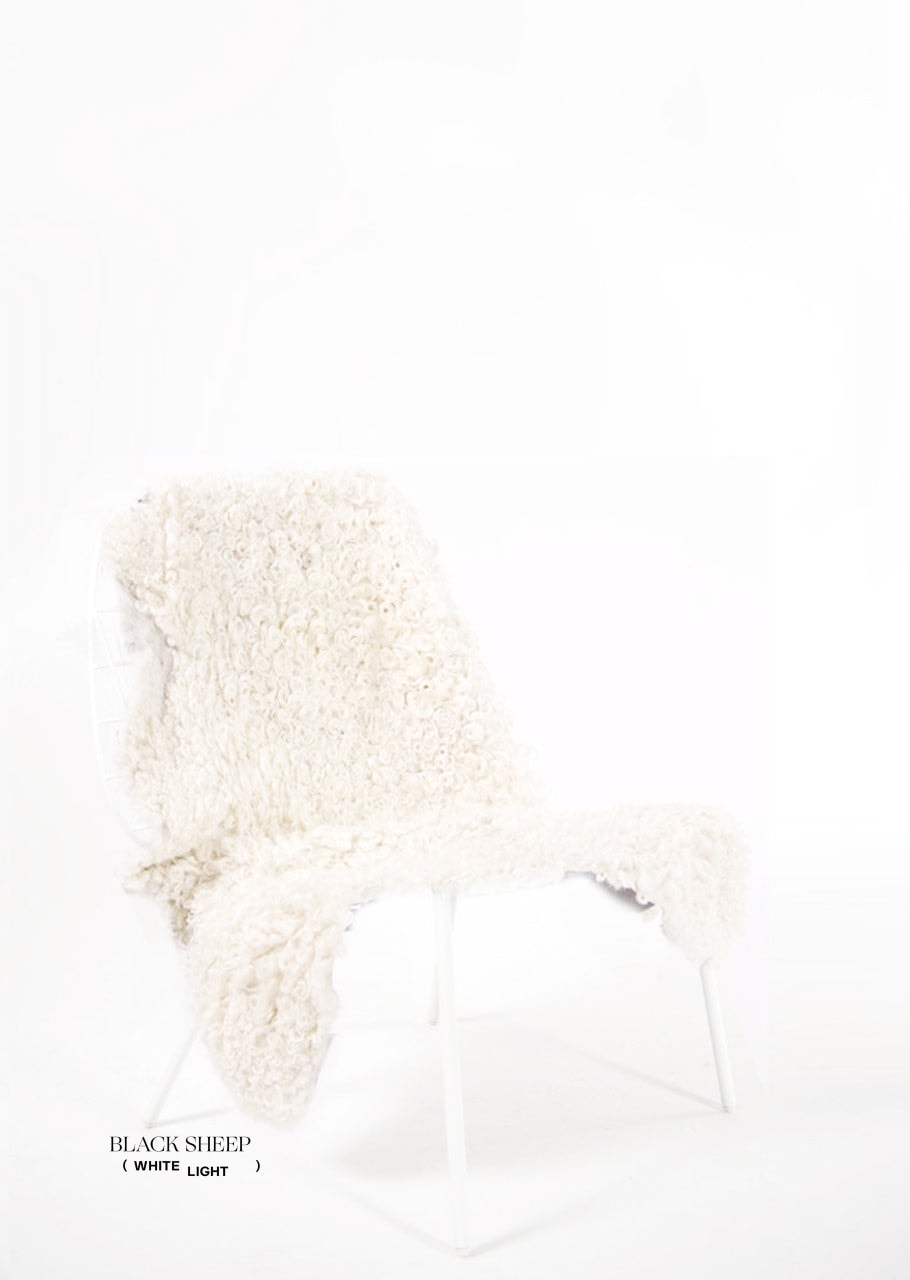 White Short Wool Gotland Sheepskin - Black Sheep (White Light)