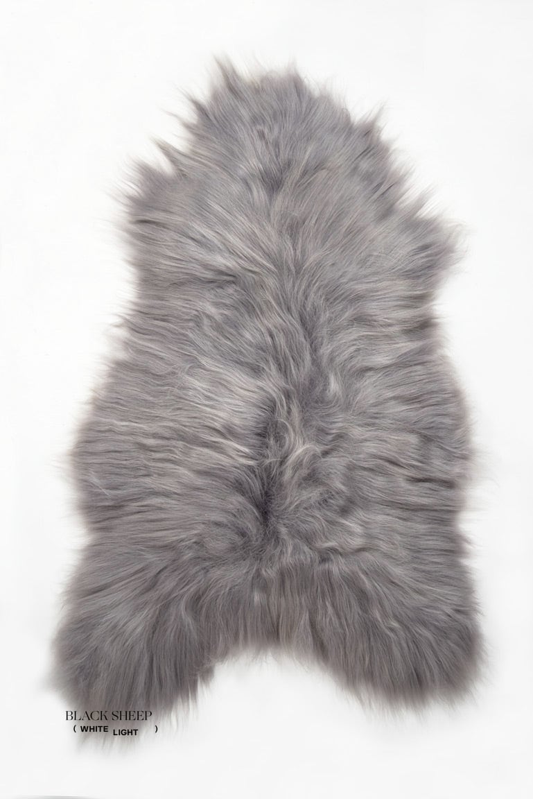 Silver Icelandic Sheepskin - Black Sheep (White Light)