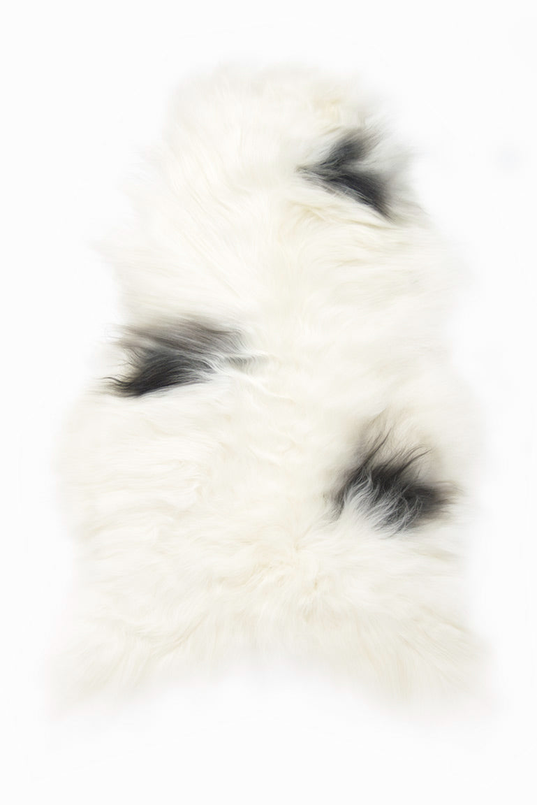 Spotted Icelandic Sheepskin | Minimal - Black Sheep (White Light)