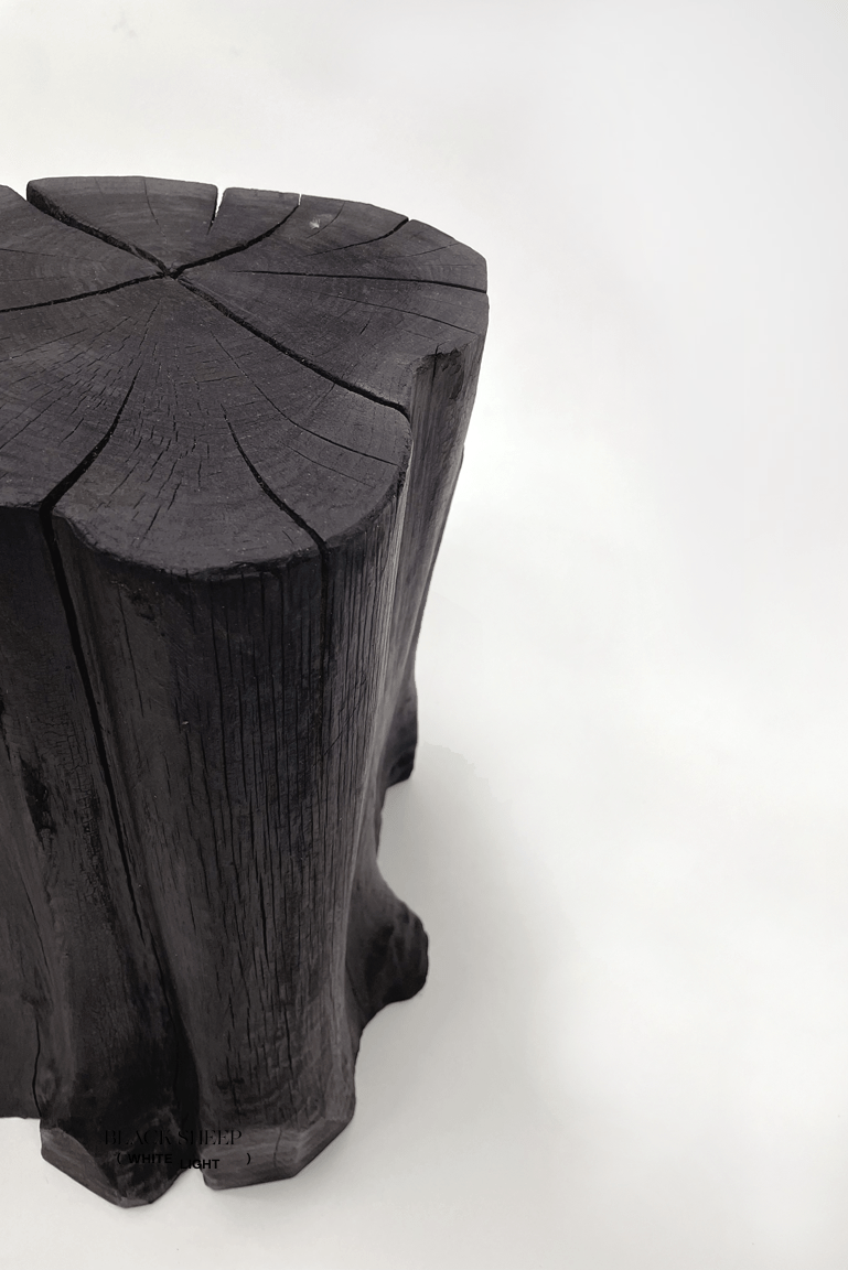 Burnt Teak Trunk Side Table or Stool - Black Sheep (White Light)