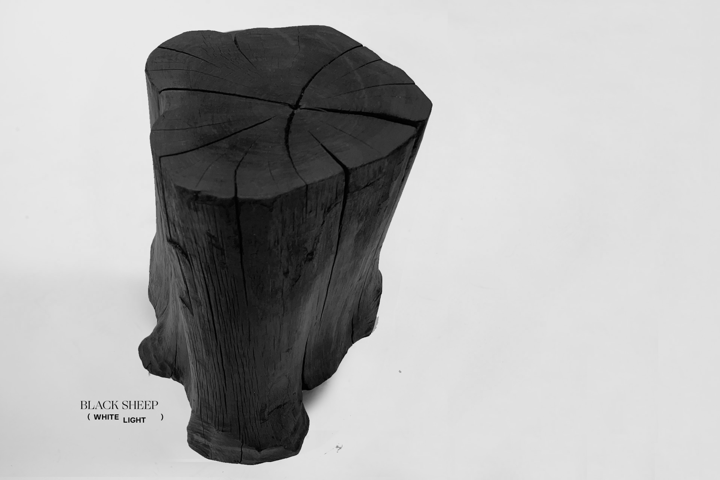 Burnt Teak Trunk Side Table or Stool - Black Sheep (White Light)