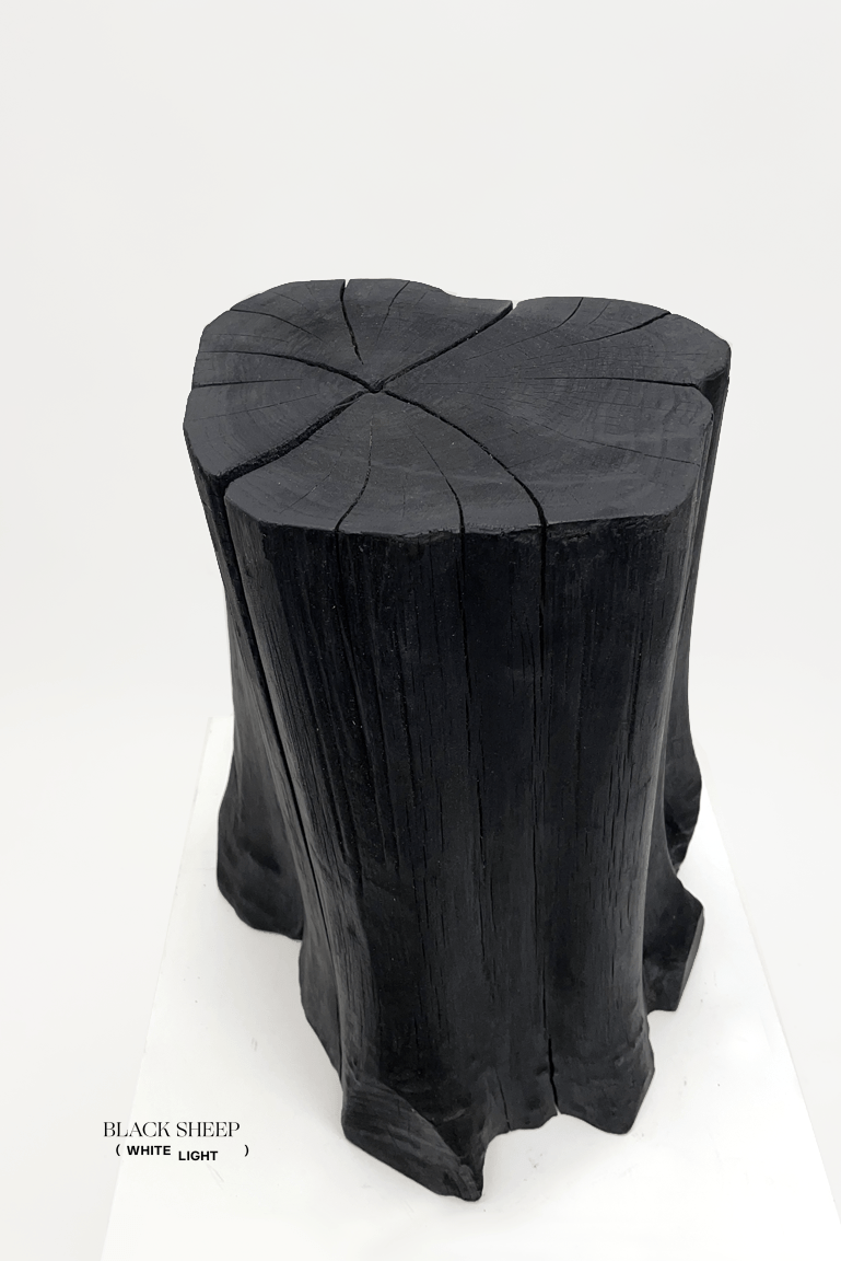 Burnt Teak Trunk Side Table or Stool - Black Sheep (White Light)