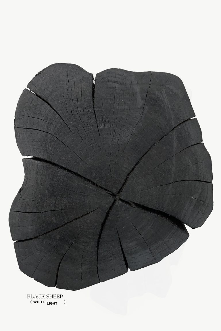Burnt Teak Trunk Side Table or Stool - Black Sheep (White Light)