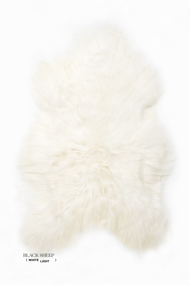 White Icelandic Sheepskin - Black Sheep (White Light)
