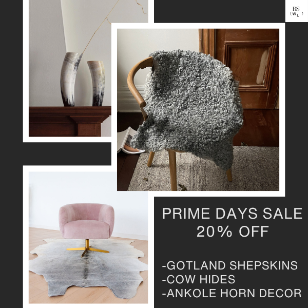 Prime Day Sale