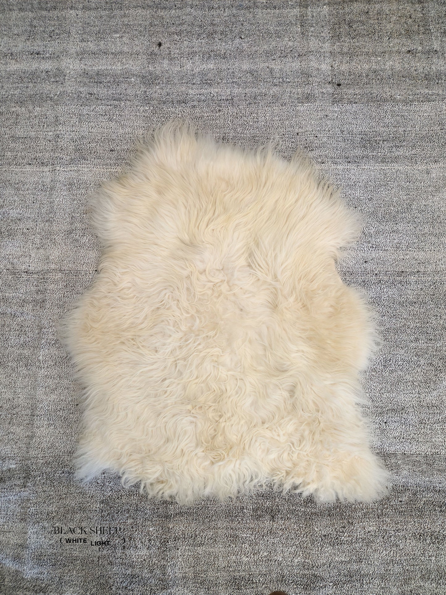 ONE OF THE KIND Icelandic Cream Sheepskin, Large - Black Sheep (White Light)