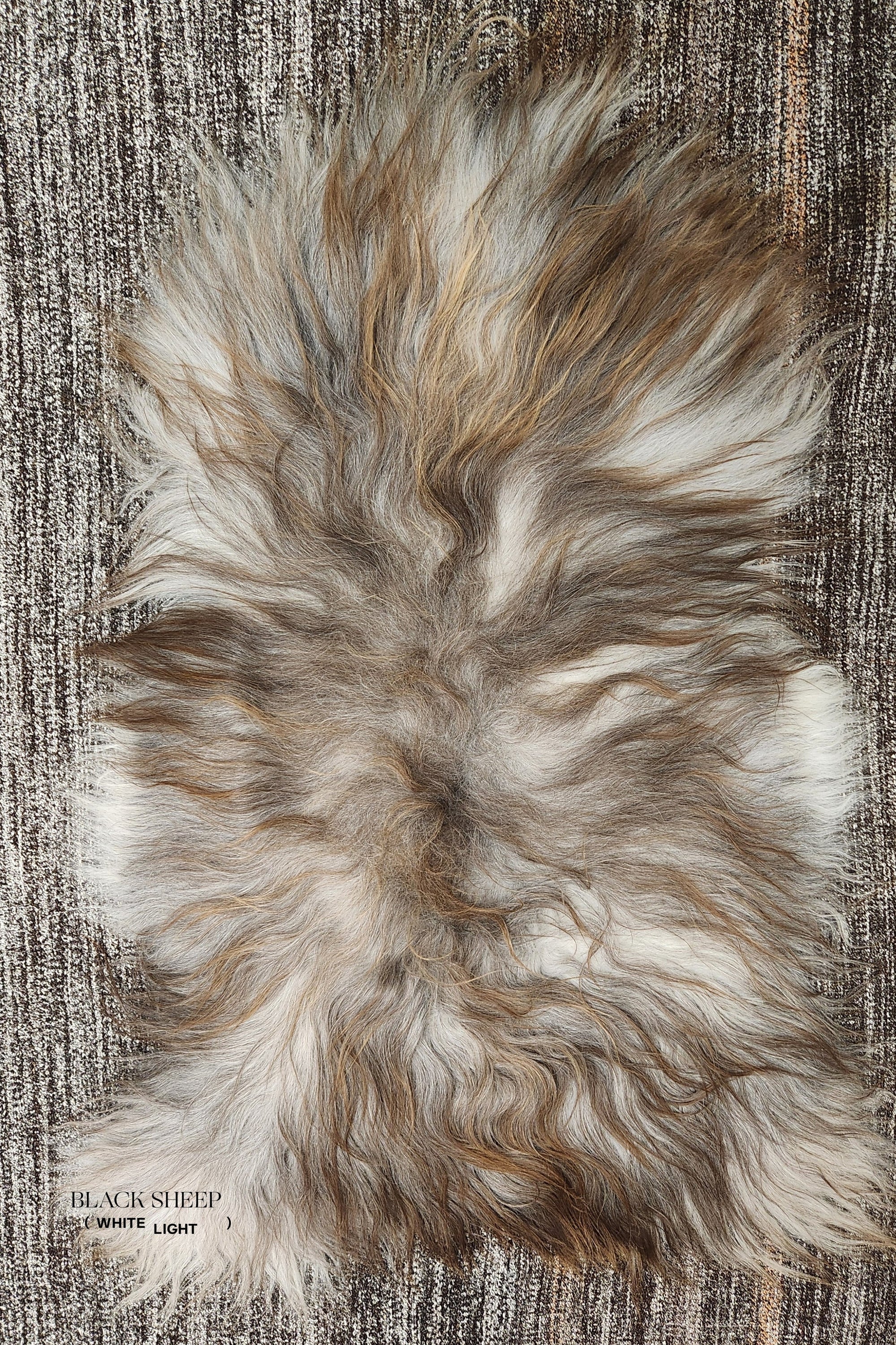 Rusty Grey Icelandic Sheepskin - Black Sheep (White Light)