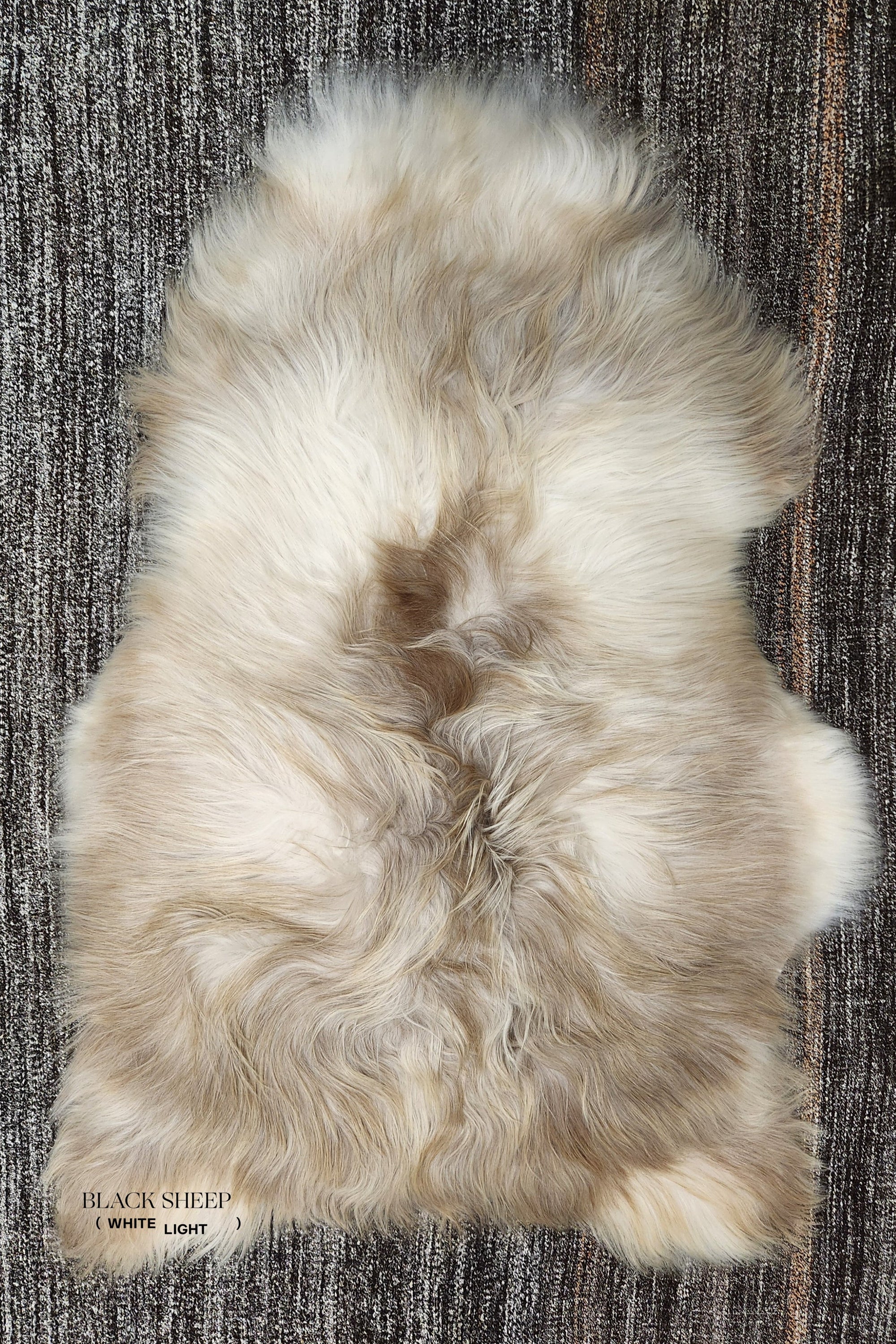 Rusty Grey Icelandic Sheepskin - Black Sheep (White Light)