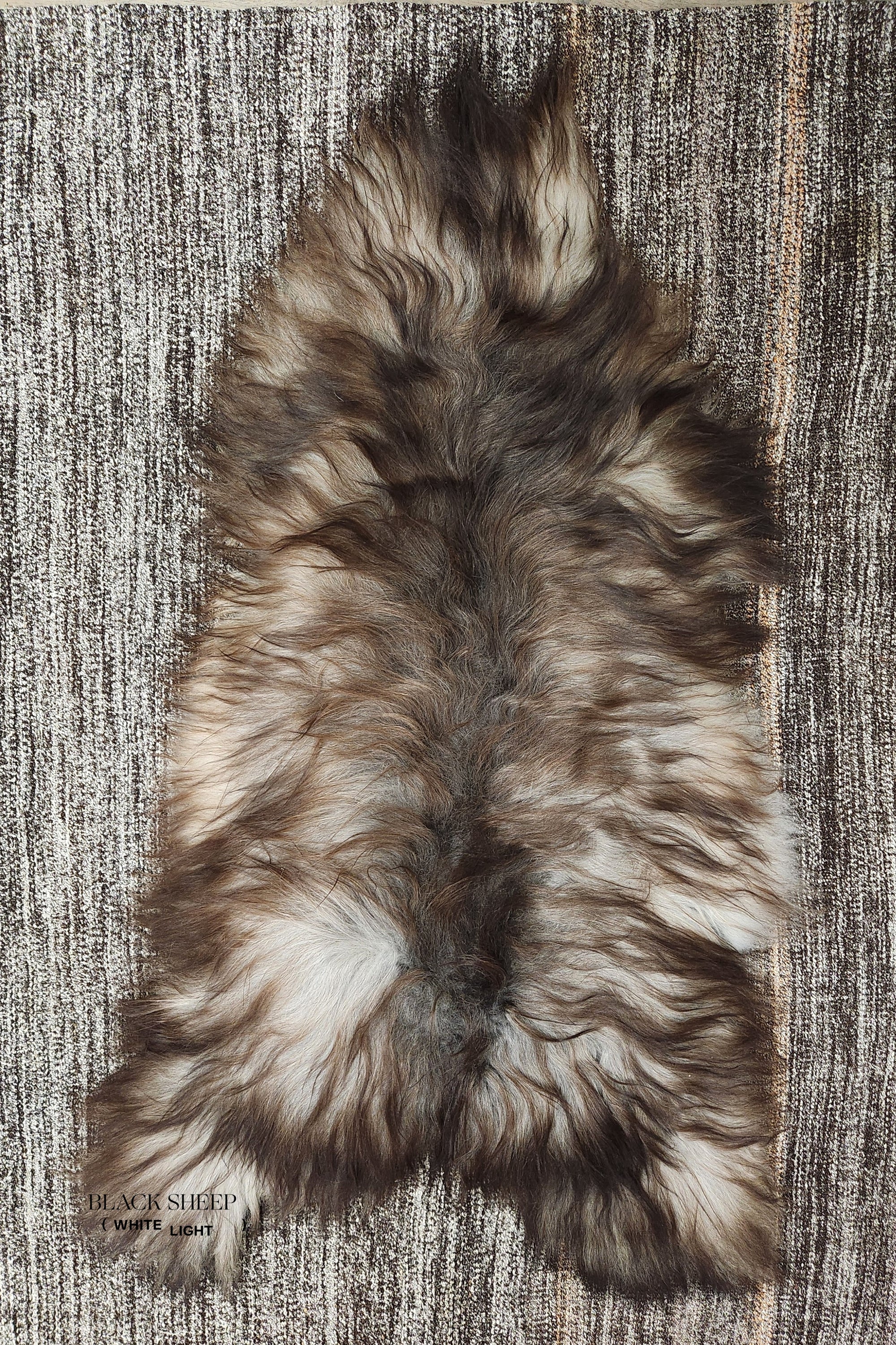 Rusty Grey Icelandic Sheepskin - Black Sheep (White Light)