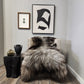 Dark Grey Icelandic Sheepskin - Black Sheep (White Light)