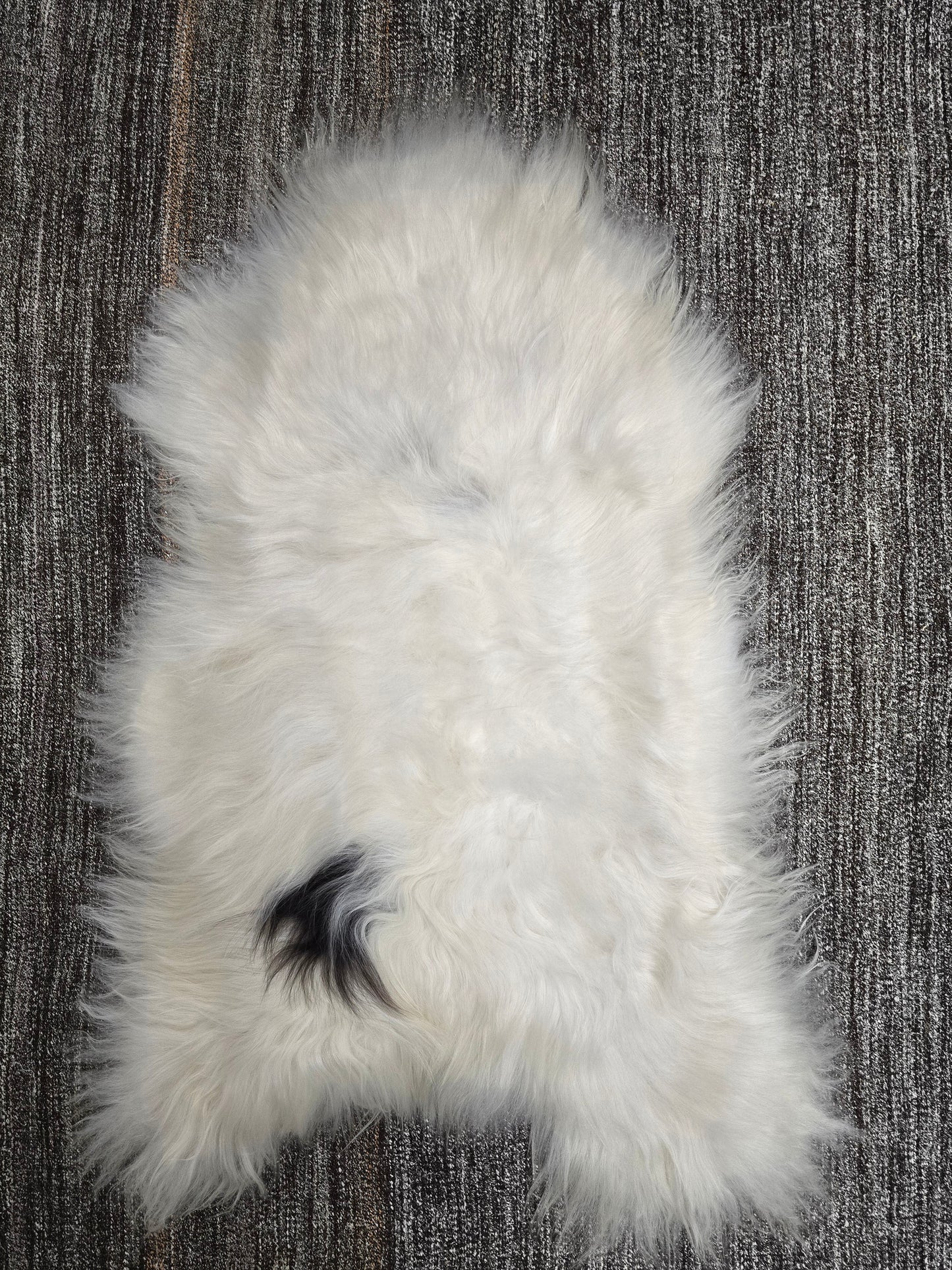 ONE OF THE KIND Icelandic White with Black Spot Sheepskin