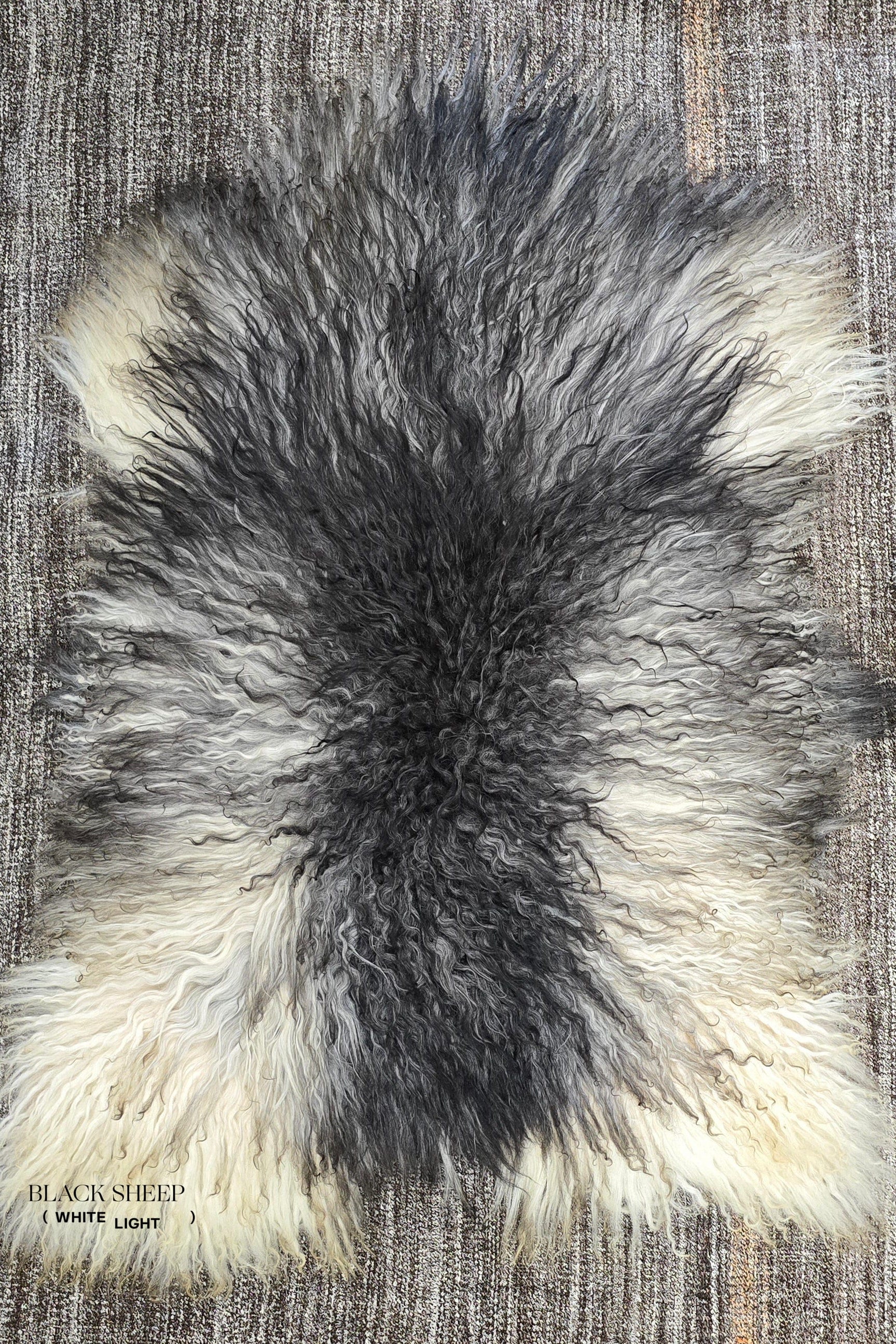 Natural Curly Grey Icelandic Sheepskin - Black Sheep (White Light)