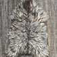 Natural Curly Grey Icelandic Sheepskin - Black Sheep (White Light)