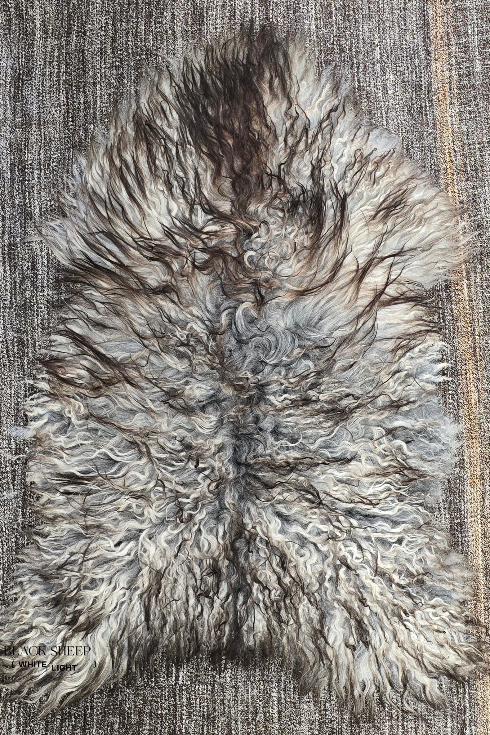 Natural Curly Grey Icelandic Sheepskin - Black Sheep (White Light)