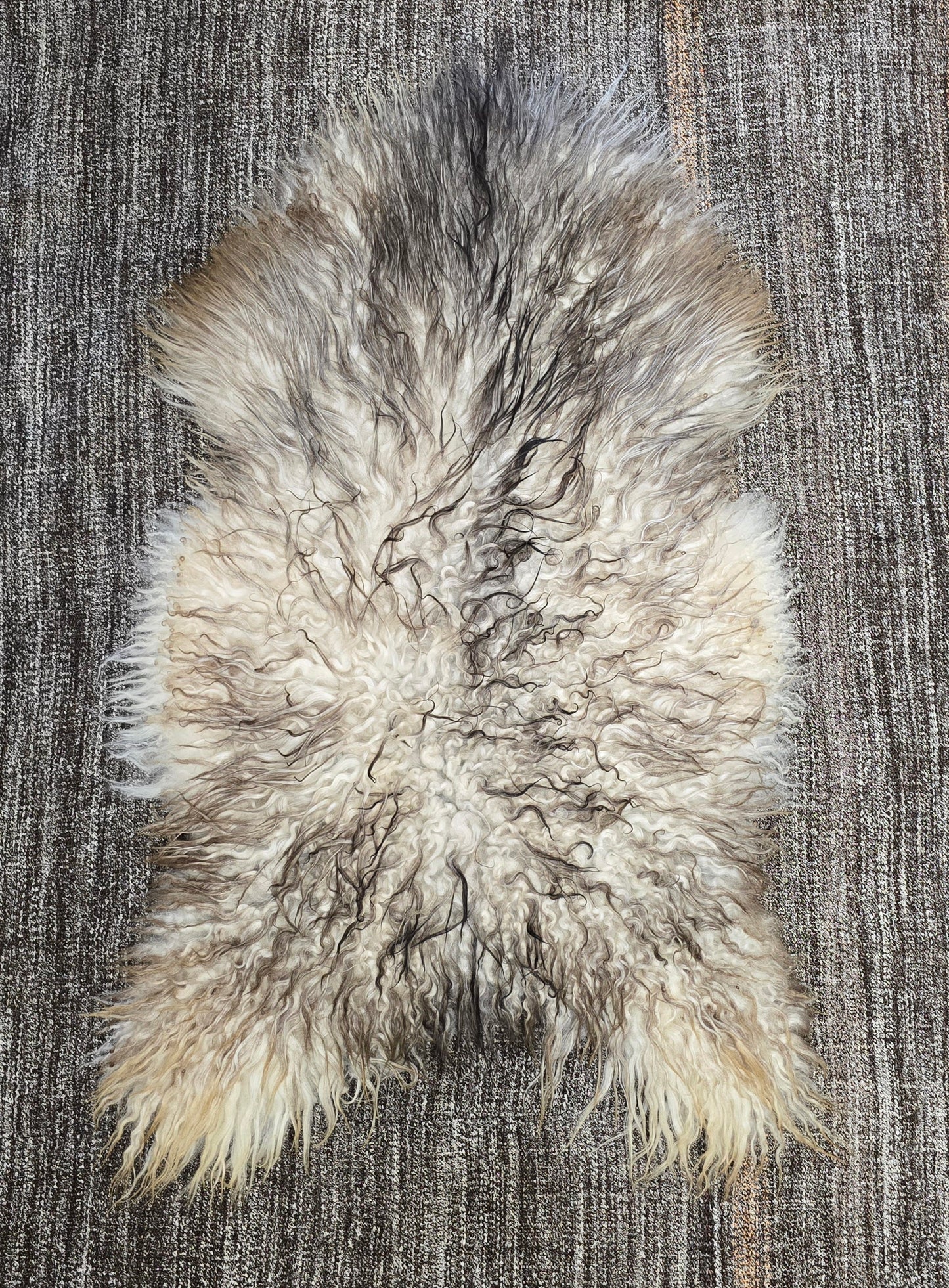 Natural Curly Grey Icelandic Sheepskin - Black Sheep (White Light)