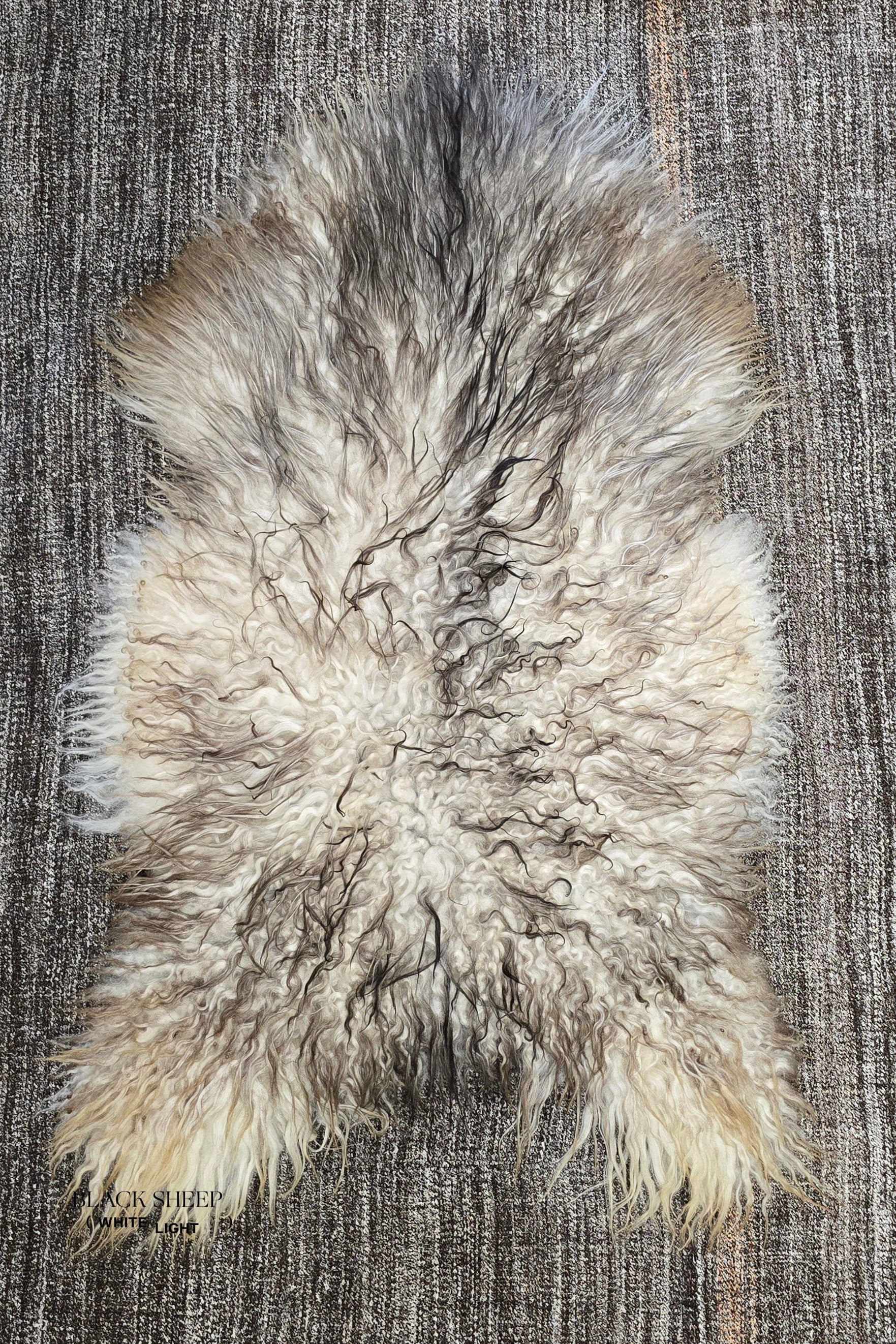 Natural Curly Grey Icelandic Sheepskin - Black Sheep (White Light)