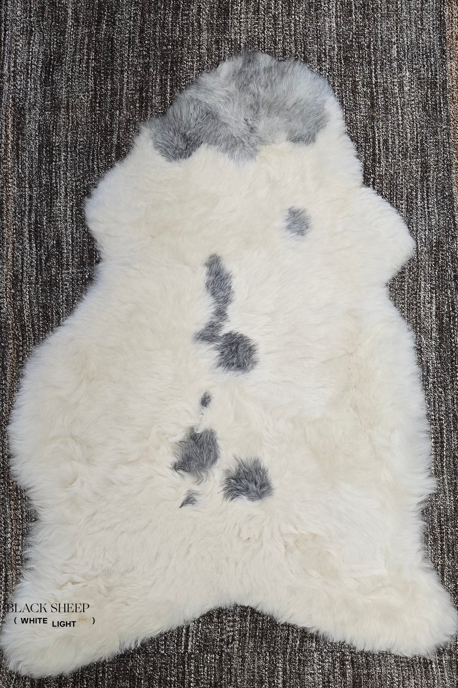Shorn Spotted Icelandic Sheepskin | Random - Black Sheep (White Light)
