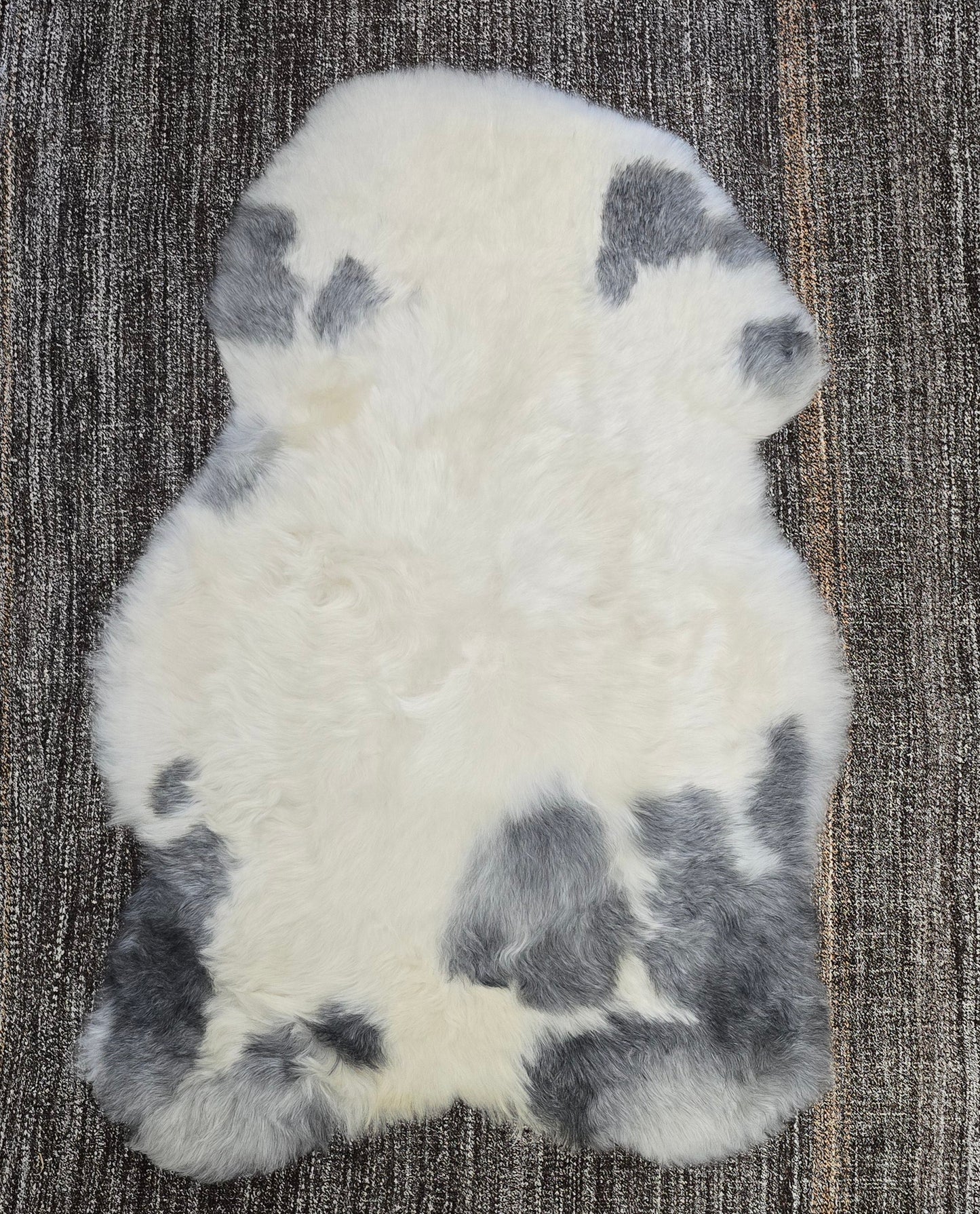 Shorn Spotted Icelandic Sheepskin | Random - Black Sheep (White Light)